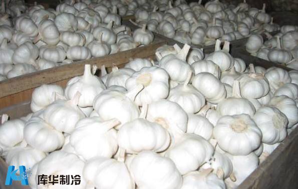 影響冷庫造價的因素有哪些?